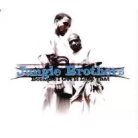 BECAUSE I GOT IT LIKE THAT