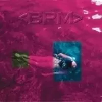 BPM VOL 1 NEXT BRAZILIAN VIBE EXPERIENCE