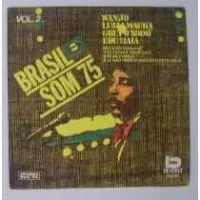 BRASIL SOM 75 VOL 2
