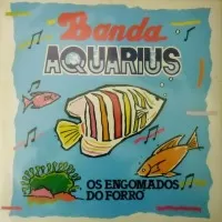 OS ENGOMADOS DO FORRÓ