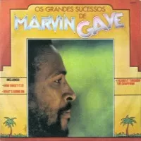 OS GRANDES SUCESSOS DE