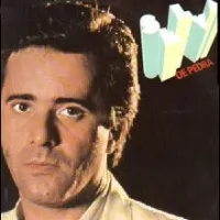 SELVA DE PEDRA INTERNACIONAL