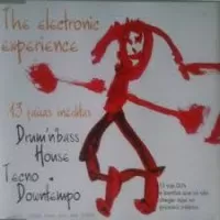 THE ELECTRONIC EXPERIENCE