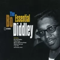 THE ESSENTIAL BO DIDDLEY