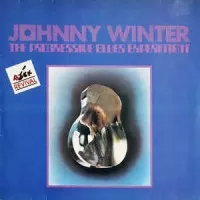 THE PROGRESSIVE BLUES EXPERIMENT