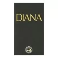 THE VISIONS OF DIANA ROSS