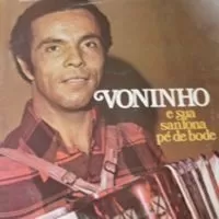 VONINHO E SUA SANFONA PE DE BODE